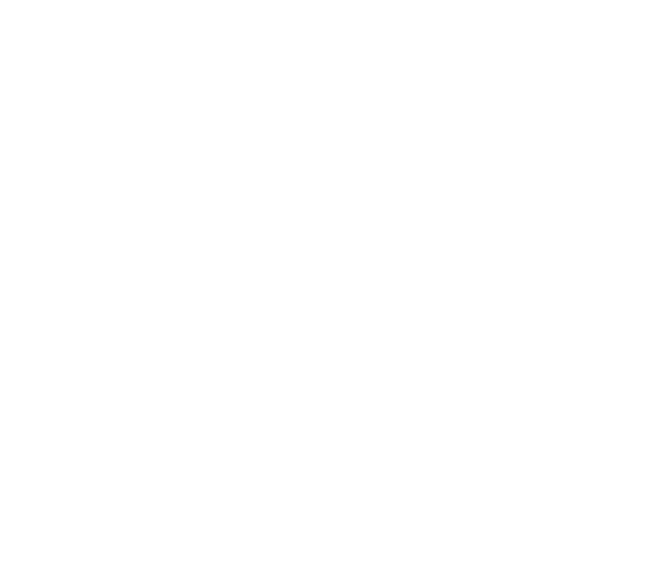 Les Frères Complices